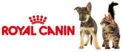 canin